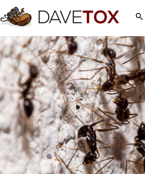 davetox.hu davetox.hu